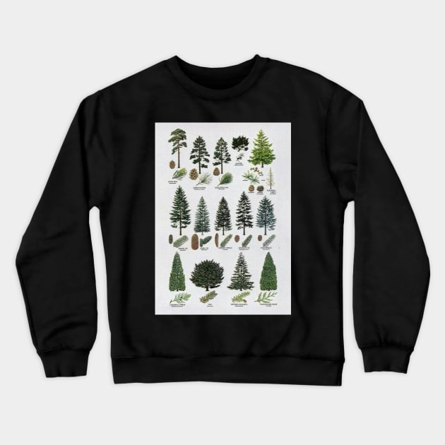 coniferous botanical poster Crewneck Sweatshirt by PSYCH90